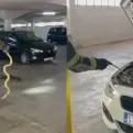 Iz automobila u Splitu izvučena velika zmija, vlasnik poručio da mu se ne sjeda za volan