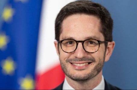 Fransoa Delmas: Podrška Francuske