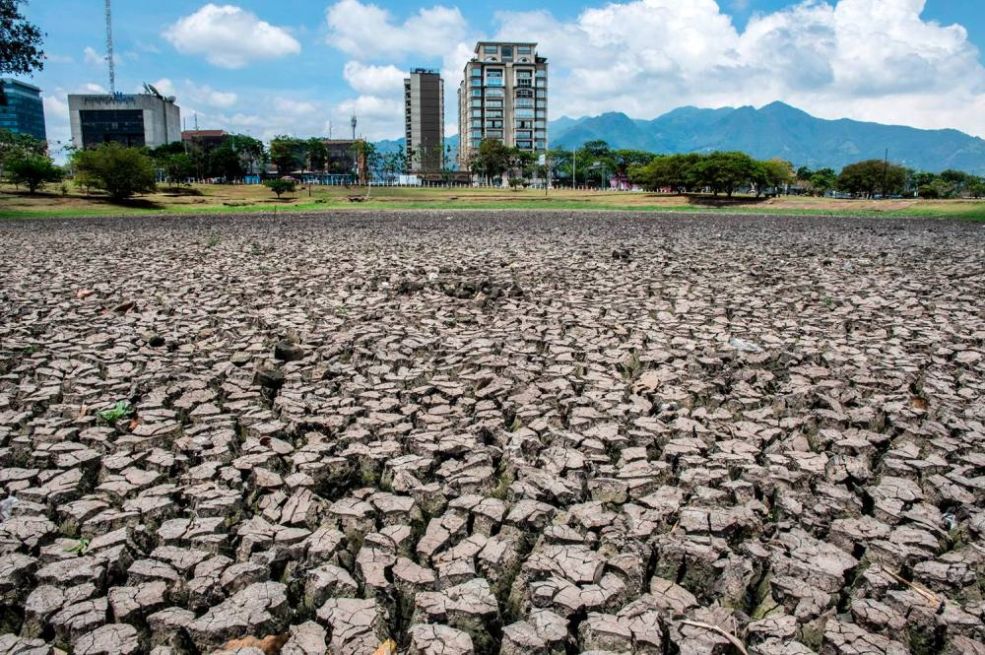 El Niño je i zvanično “mrtav”, evo šta slijedi u nastavku ljeta