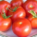 Ovako se pravilno čuva paradajz: Iskusne domaćice znaju trik uz koji ostaje svjež i do 2 sedmice