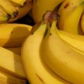 Ovo su stanja u kojima nikako ne smijete jesti banane: Odmah ih izbacite iz ishrane