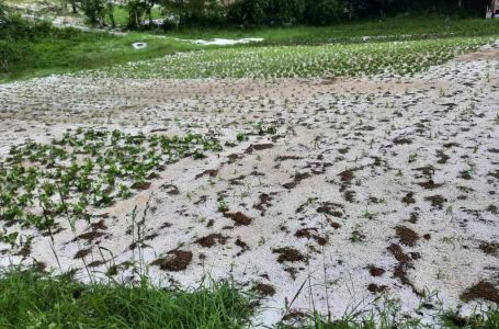 Klimatolog otkrio šta nas očekuje: I čizme i kišobran i kupaći!