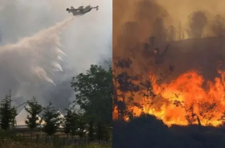 KATASTROFA U EUROPI: Italija se kuha na 42 stepena, veliki požari u Turskoj -a u ovom gradu poplave