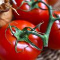 Kako da znate da li su paradajiz i krastavac naprskani hemijom: Veoma jednostavan trik