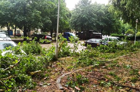 Јako olujno nevrijeme pogodilo jutros Trebinje: Oborena stabla uništila nekoliko vozila