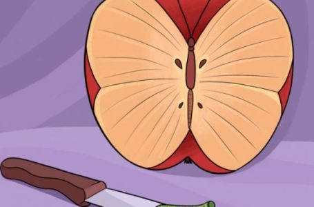 ŠTA STE PRVO UGLEDALI NA OVOJ SLICI? Jabuku, leptira, nož ili gusjenicu:ODGOVOR OTKRIVA VAŠU NAJVEĆ