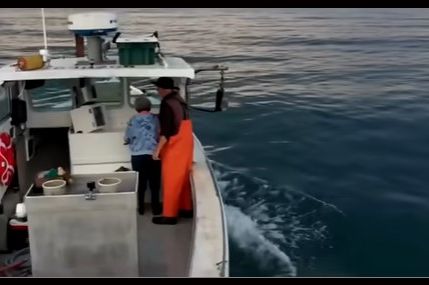 OVA ŽENA IMA 104 GODINE: Obožava da jede ovu hranu, a jedna stvar je održava mladom (VIDEO)