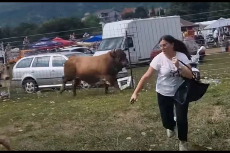 TOKOM BORBE BIK ULETIO MEĐU PUBLIKU: Pogledajte kako su ljudi u panici bježali (VIDEO)