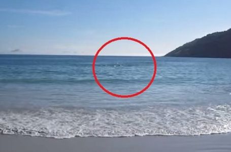 DOŠAO JE DA SNIMA PLAŽU: Nije mogao vjerovati očima šta se desilo! (VIDEO)