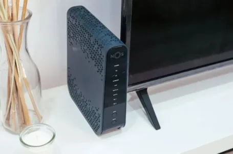 Spor vam je internet? Krivac je možda jedan kućni ukras