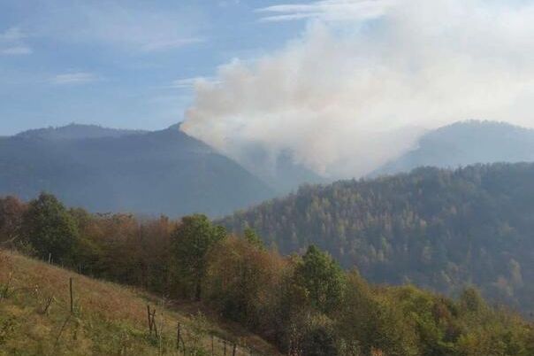 Pod kontrolom požar kod Konjica