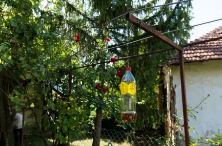 Poslije sat vremena više nećete vidjeti muhiu, ni komarca u blizini: SMUĆKAJTE IM POSLJEDNJU VEČERU