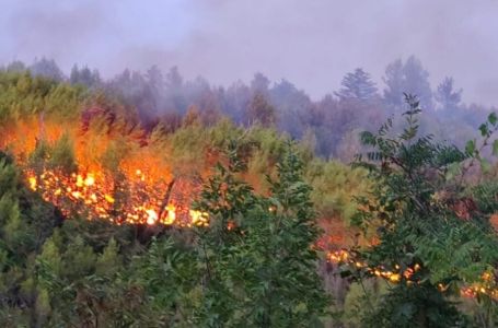 Veliki požar u Dalmaciji ušao u Park prirode Biokovo