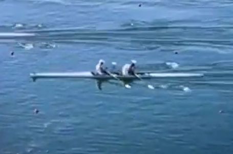 Srbin odustao ispred cilja i šokirao svijet: Evo zbog čega su veslači ostali bez borbe za medalju OI