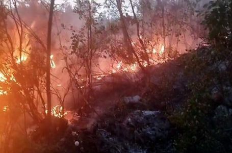 Vatrogasci u Nikšiću, Podgorici i na Cetinju imali pune ruke posla: Ugrožene i kuće