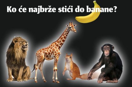 KO ĆE NAJBRŽE DOĆI DO BANANE: Vaš odgovor otkriva kakva ste osoba pod pritiskom