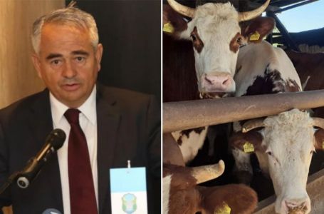 Gogolj u Trnovu: Ibro Berilo spiskao 675.000 maraka za povratnike, kupovao steone junice pa...