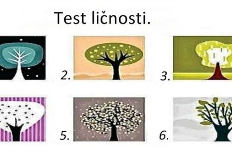 TEST LIČNOSTI: Odaberite jedno drvo i saznajte šta ono govori o vama