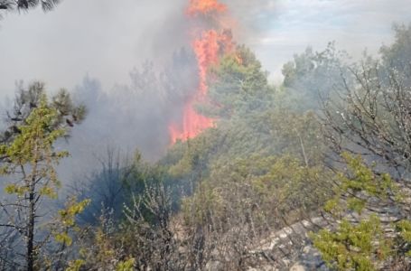 PONOVO PLANULO NA FORTICI IZNAD MOSTARA: Vatrogasci apeluju na MUP HNK da kazni neodgovorne pojedinc