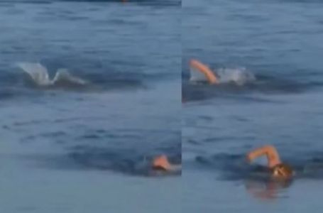TRAGEDIJA NA TAKMIČENJU: Utopio se srbijanski sportista 50 metara pred ciljem