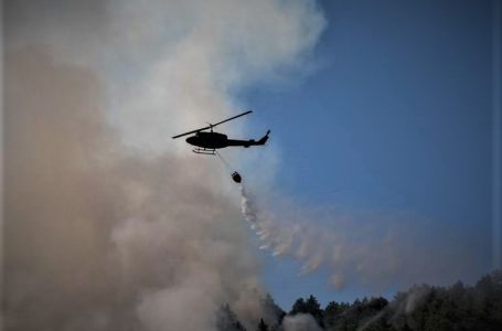 Požar na Zelengori ne jenjava: ”Treba se brzo reagovati, ovo je nešto što moramo ostaviti..."