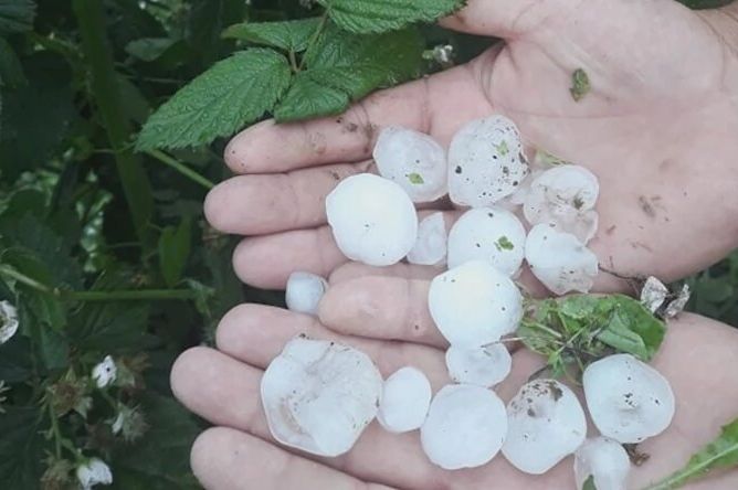 OLUJA IZ HRVATSKE STIŽE U SRBIJU Nevrijeme sa gradom veličine ORAHA sručilo se na Istru