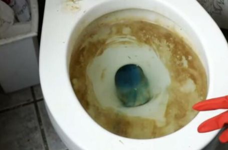 Sipala ovo u wc šolju, ostavila preko noći da djeluje: Kad se probudila ujutru, nije mogla vjerovati