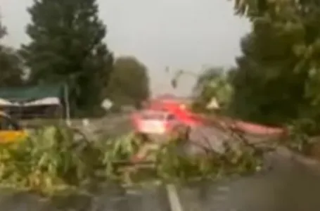 Snažno nevrijeme u BiH lomilo stabla i srušilo dalekovod: Neka područja ostala bez struje