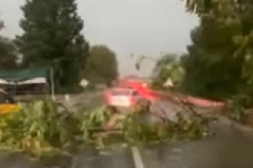 Snažno nevrijeme u BiH lomilo stabla i srušilo dalekovod: Neka područja ostala bez struje