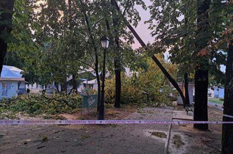 Veliko nevrijeme: Jaka oluja čupala stabla u Bjelovaru