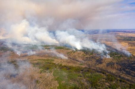 Gori šuma kod Černobila: Vatrogasci i vojska gase požar