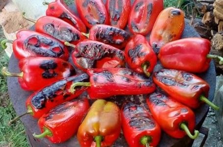 Samo 3 sorte su najbolje: Domaćice otkrile kako odabrati savršenu papriku za ajvar