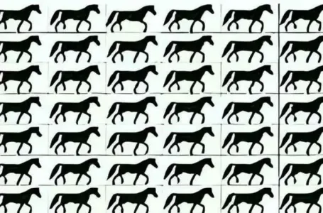 Samo oni najoštrijeg vida mogu uočiti konja bez repa u ovoj lukavoj mozgalici: VIDITE LI GA?