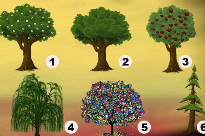 Test podsvesti: Izaberite jedno drvo i saznajte kako vas drugi ljudi vide