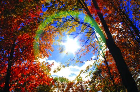 Sutra je Miholjdan, a evo šta će se desiti ako bude padala kiša