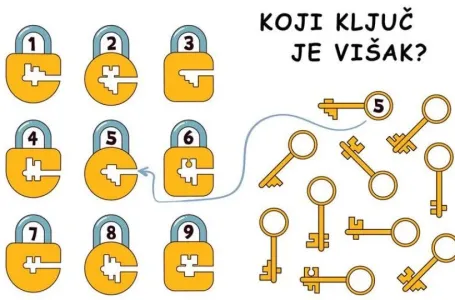 Mozgalica za iskusne: Pronađite ključ koji ne pripada nijednom katancu