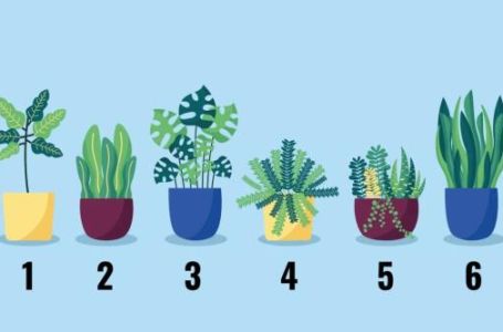 Za čime vam duša čezne? Brzi test otkriva od čega ste sazdani i kako da ispunite životnu želju