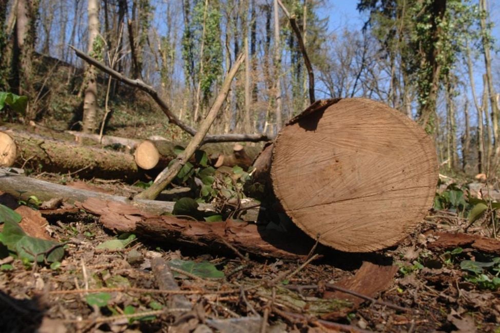 Tragedija na bh. planini: Poginuo pred očima majke i supruge