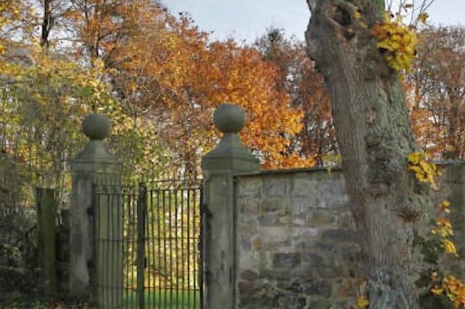 Mnogi nisu uspjeli: Ako za 12 sekundi pronađete skrivenu ženu na fotografiji, imate visok IQ