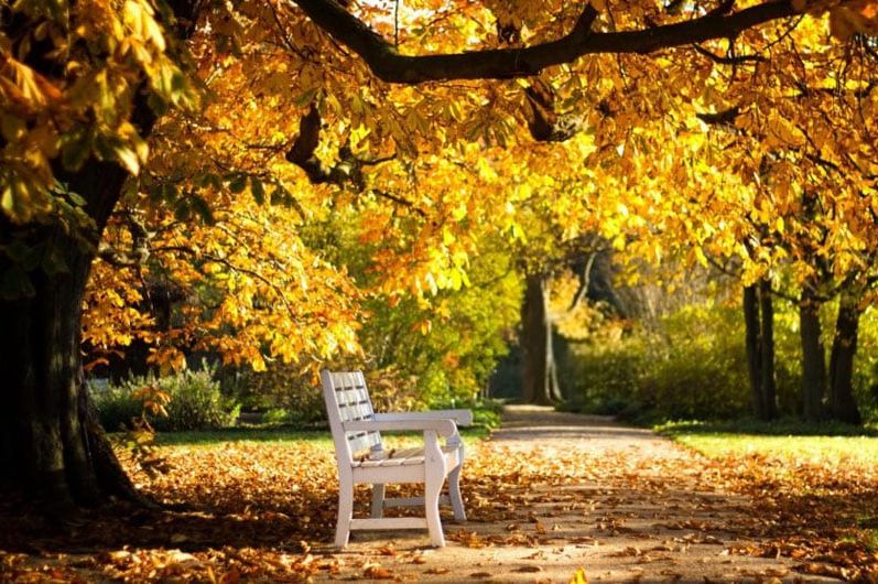 Meteorolozi objavili kakvo vrijeme nas očekuje za vikend u BiH