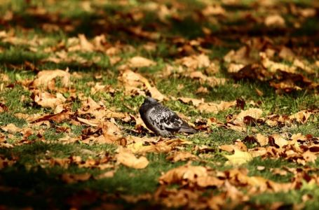 Objavljena detaljna vremenska prognoza za narednu sedmicu