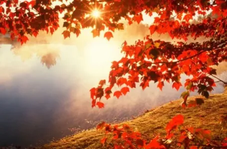 Jesen 2025. donosi bajku za 3 znaka Zodijaka: Evo ko ulazi u novu životnu fazu