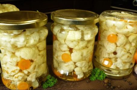 NAJBOLJI RECEPT ZA KISELI KARFIOL: Ova biljka jača imunitet, čisti krvne sudove, ukus božanstven