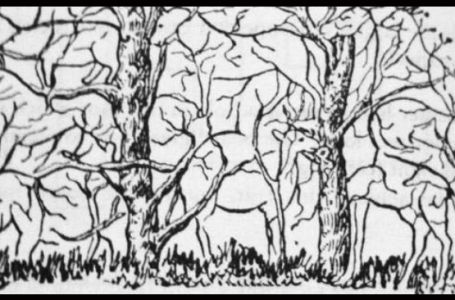 KOJU ŽIVOTINJU STE PRVO UGLEDALI? Ovaj test ličnosti nikada ne griješi, odmah provjerite