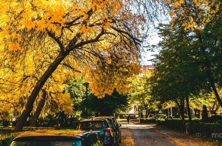 Meteorolozi objavili prognozu za BiH do 15. novembra: Evo kad nam stiže zahlađenje