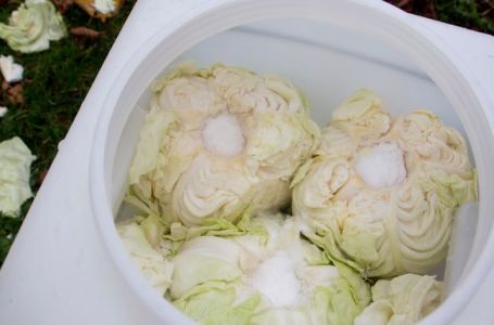 Ne bacajte ga: Kiseli kupus može da vam traje sve do ljeta, dodajte mu sada samo 1 stvar