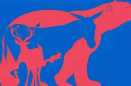 SAMO ONI SA OŠTRIM UMOM MOGU NABROJATI SVIH OSAM ŽIVOTINJA SKRIVENIH NA SLICI: Vidite li ih sve?