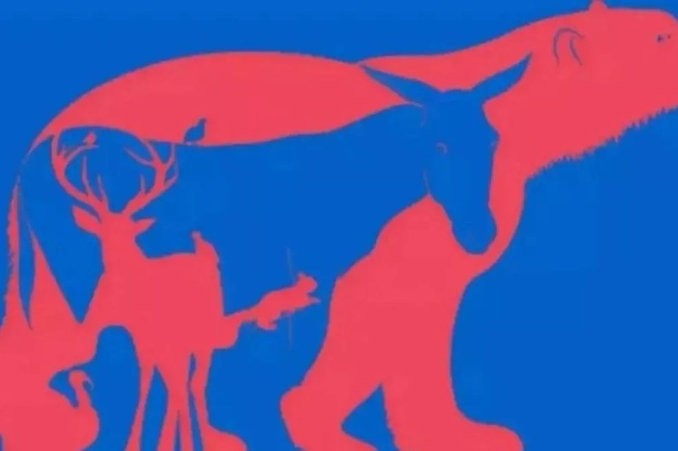 SAMO ONI SA OŠTRIM UMOM MOGU NABROJATI SVIH OSAM ŽIVOTINJA SKRIVENIH NA SLICI: Vidite li ih sve?