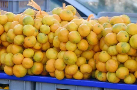 Kako prepoznati koje mandarine su kisele, a koje slatke