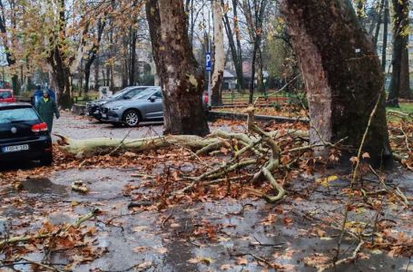 Snažan vjetar u Bihaću čupao stabla i oštetio saobraćajne znakove